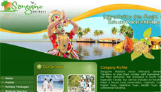 high quality web designing companies in kerala